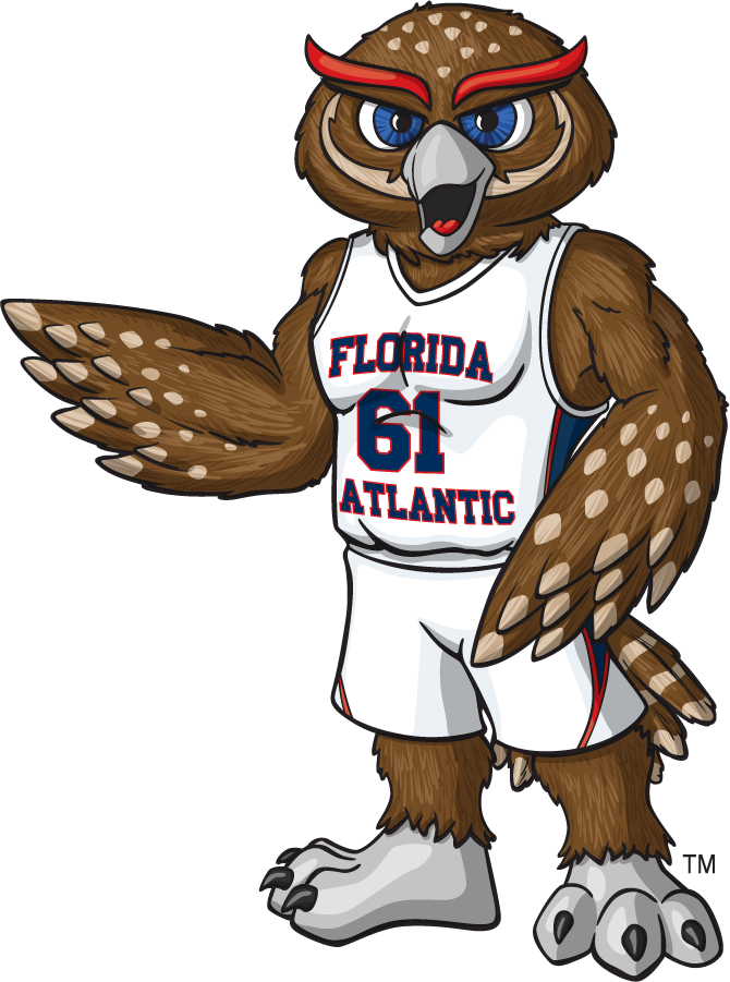 Florida Atlantic Owls 2014-2015 Mascot Logo t shirts iron on transfers